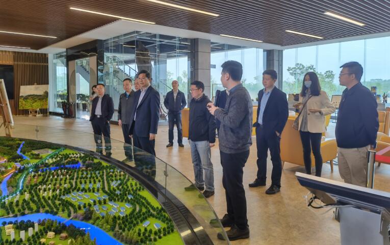 广西旅发集团党委书记、董事长容贤标考察集团文旅项目