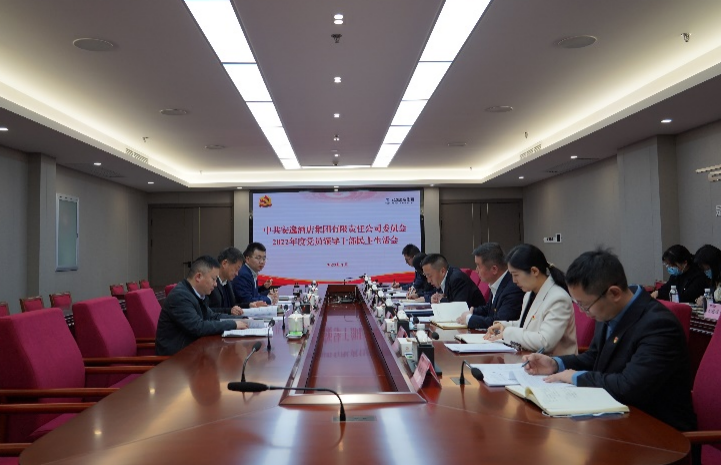 尊龙凯时集团党委书记、董事长任丁出席安逸酒店集团2022年度党员领导干部民主生活会